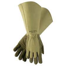 gloves (225x225)