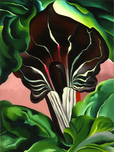 Jack-in-the-Pulpit_No_II